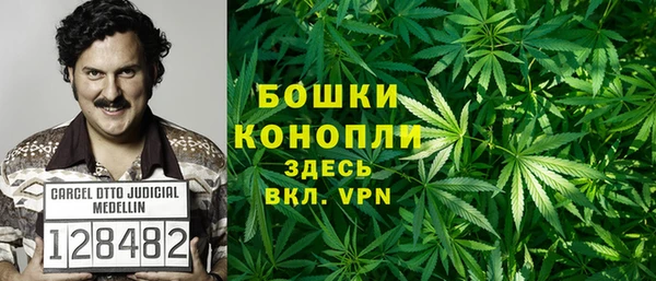 амф Алзамай