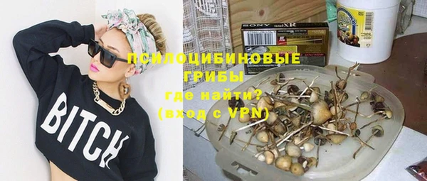 амф Алзамай