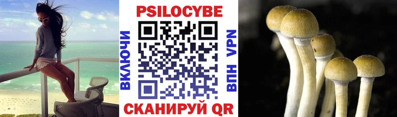 Галлюциногенные грибы Psilocybe  Артём 